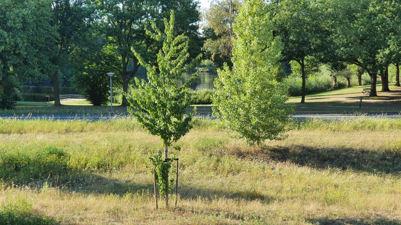 Logies Bij Wandelpad Te Holten Εξωτερικό φωτογραφία